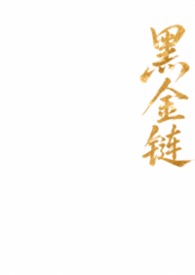 黑金链条香奈儿包